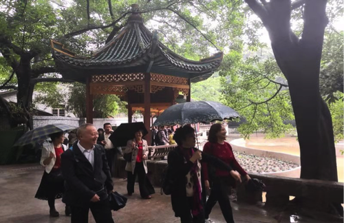 鹅岭公园雨中游。李远哲摄