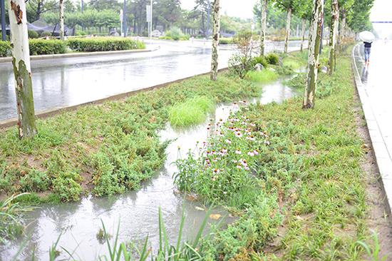 秦皇大道雨水收集系统。