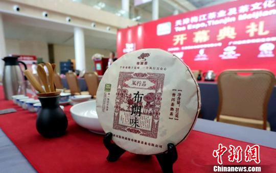 2019天津茶博会启幕 全国各地逾280家企业参展