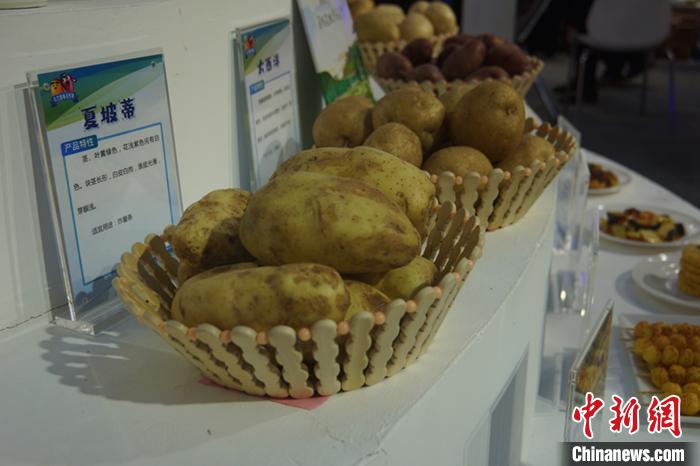 图为绿博会上的乌兰察布马铃薯。　乌娅娜 摄