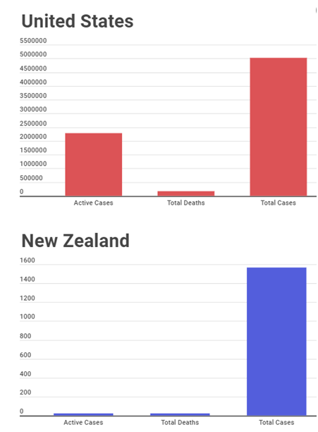 美国（上）和新西兰（下）的新冠疫情情况 图源：“新闻中心”网站