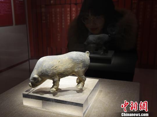 重庆办《金猪贺岁》展 千年“佩奇”邀市民博物馆里过文化年