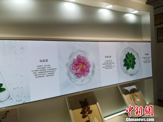 云南“神奇植物”助企业发展生物医药产业