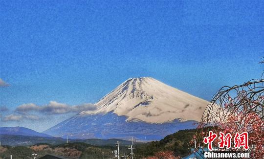 黑龙江清明假日旅游市场日本赏樱线路火热