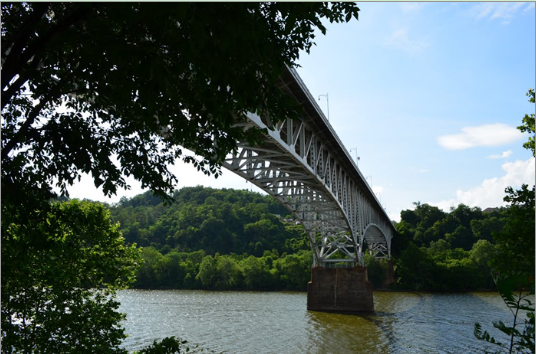 匹兹堡的霍姆斯蒂德古雷斯大桥（The Homestead Grays Bridge）