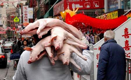 图文:纽约唐人街--工作人员将乳猪扛回餐馆
