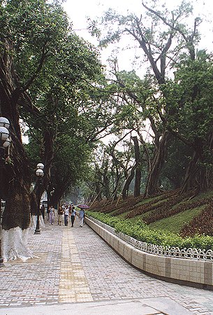 图文:广州人民公园拆去围墙还公园于民_社会新