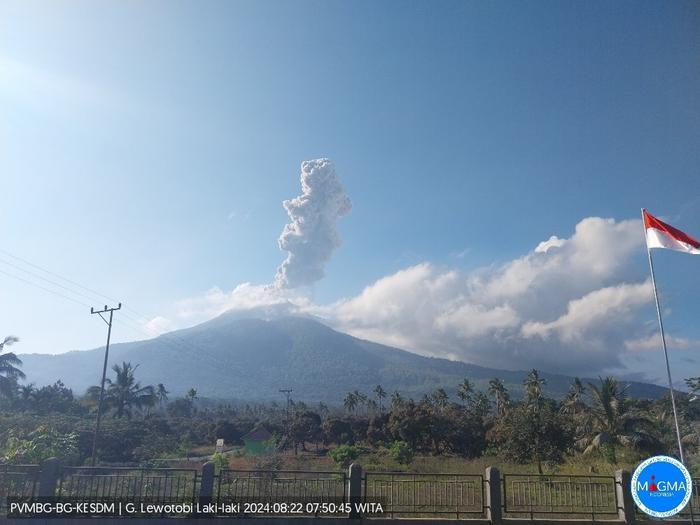 印尼勒沃托比火山喷发 火山灰柱达1000米 (http://www.cstr.net.cn/) 国际 第1张