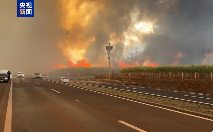 巴西圣保罗州多地发生火灾 已致2人死亡 (http://www.cnwts.cn/) 国际 第1张