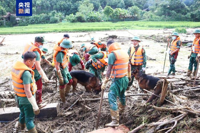 台风“摩羯”已在越南造成262人死亡、83人失踪 (http://www.cstr.net.cn/) 国际 第1张