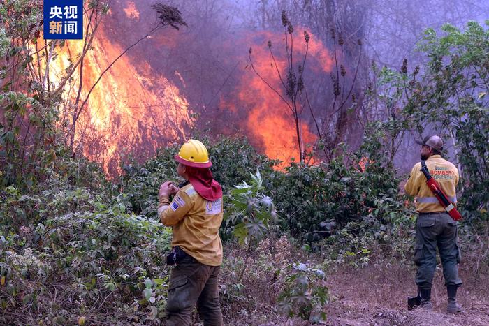 火情加剧 玻利维亚宣布东部多地进入“国家灾难状态” (http://www.cnwts.cn/) 国际 第1张