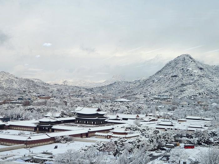 韩国持续降雪影响数百架次航班 仁川机场大批旅客滞留 (http://www.cnwts.cn/) 国际 第1张