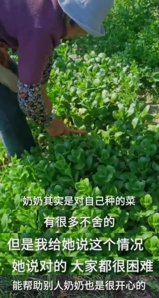 这8个细节，让人忍不住泪目！ (http://www.cstr.net.cn/) 资讯 第10张