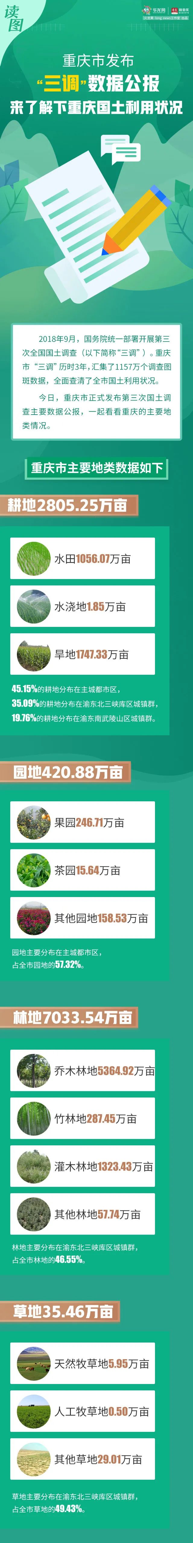 重庆国土大数据：林地7033.54万亩、耕地2805.25万亩…… (http://www.cstr.net.cn/) 资讯 第3张