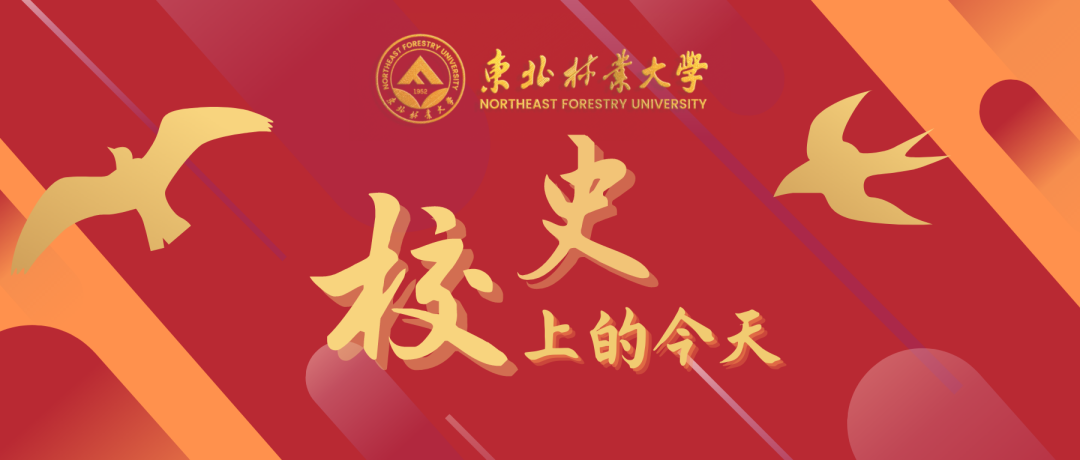 校史上的今天 | 11月15日 (http://www.lingxun.net.cn/) 新闻 第1张