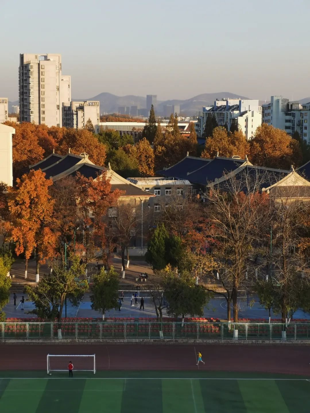 南京农业大学手机壁纸图片