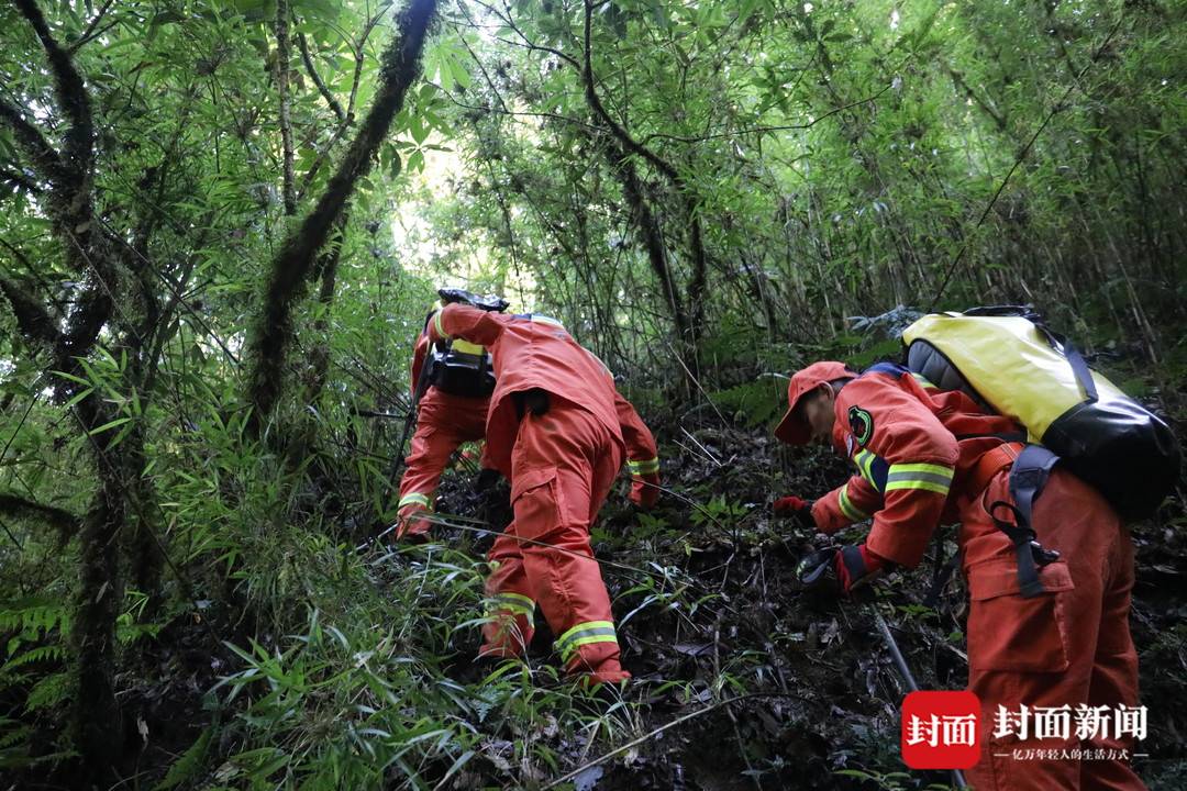 云南哀牢山遇难者遗体转运出山：当晚下了冰雹，救援队有人累倒山上 (http://www.cstr.net.cn/) 资讯 第2张