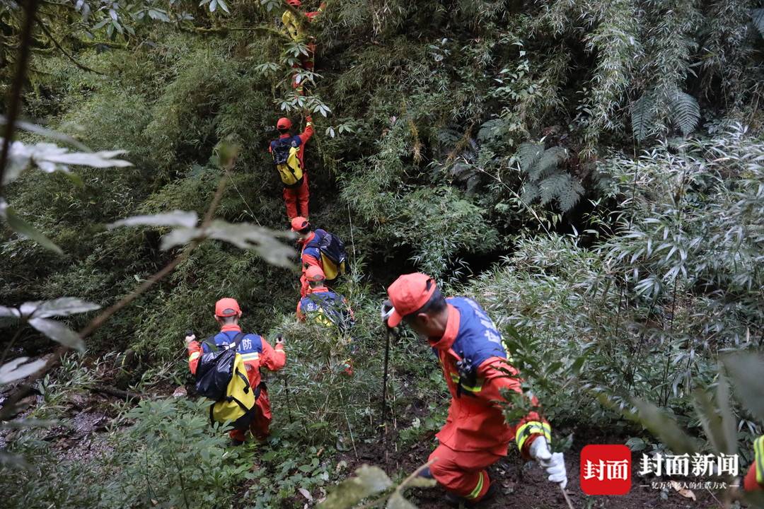 云南哀牢山遇难者遗体转运出山：当晚下了冰雹，救援队有人累倒山上 (http://www.lingxun.net.cn/) 新闻 第3张