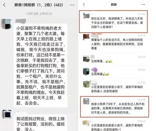 武汉女子“拿命控告”遛狗不牵绳 悲剧缘何而起？ (http://www.lingxun.net.cn/) 新闻 第1张