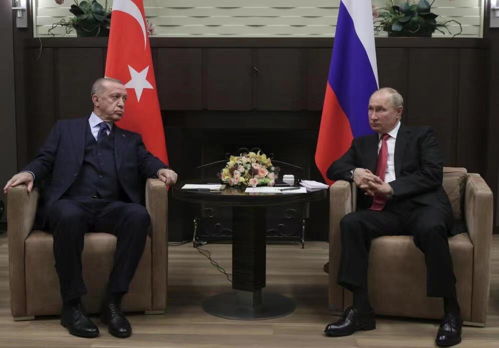 俄罗斯与土耳其总统通电话 重点讨论地区和国际热点问题