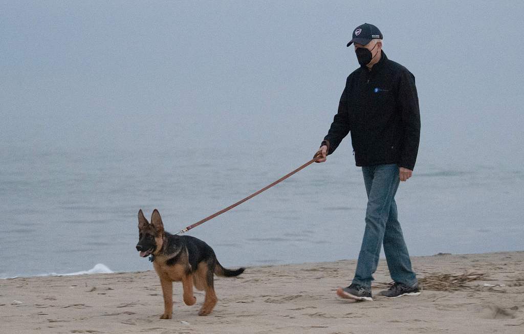 在空荡的海滩戴口罩遛狗，拜登被指“作秀”
