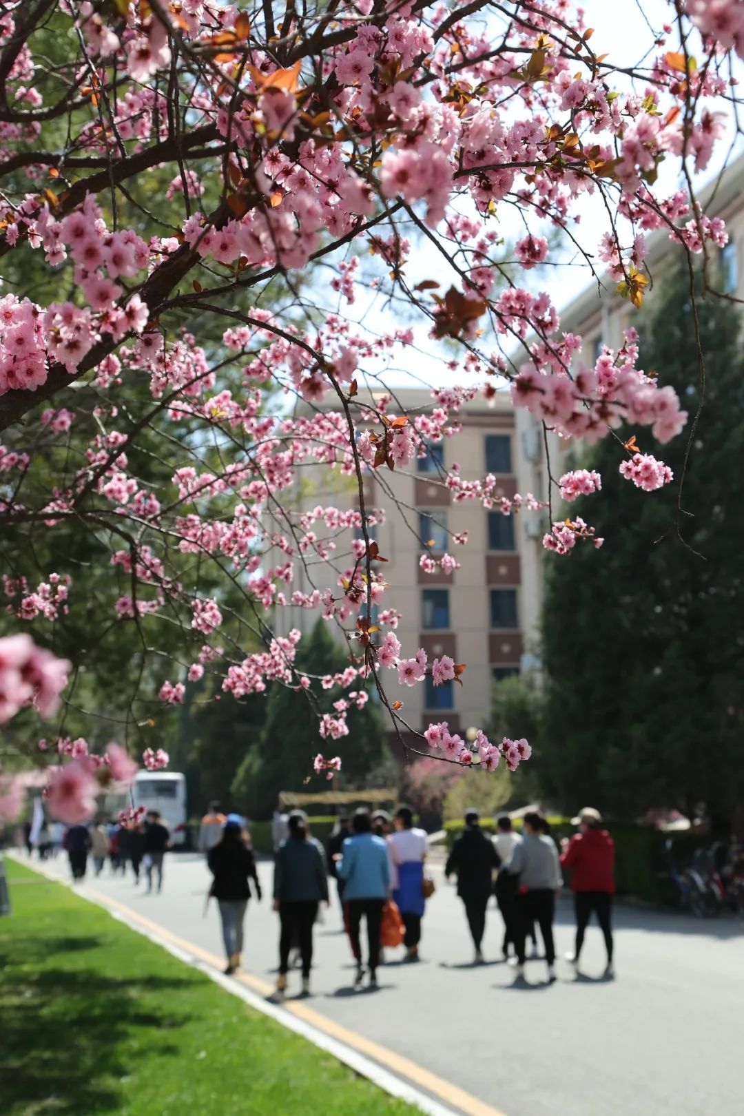 艺体同心 七秩北地 | 2022年教职工体育艺术文化节开幕 (http://www.cstr.net.cn/) 资讯 第19张