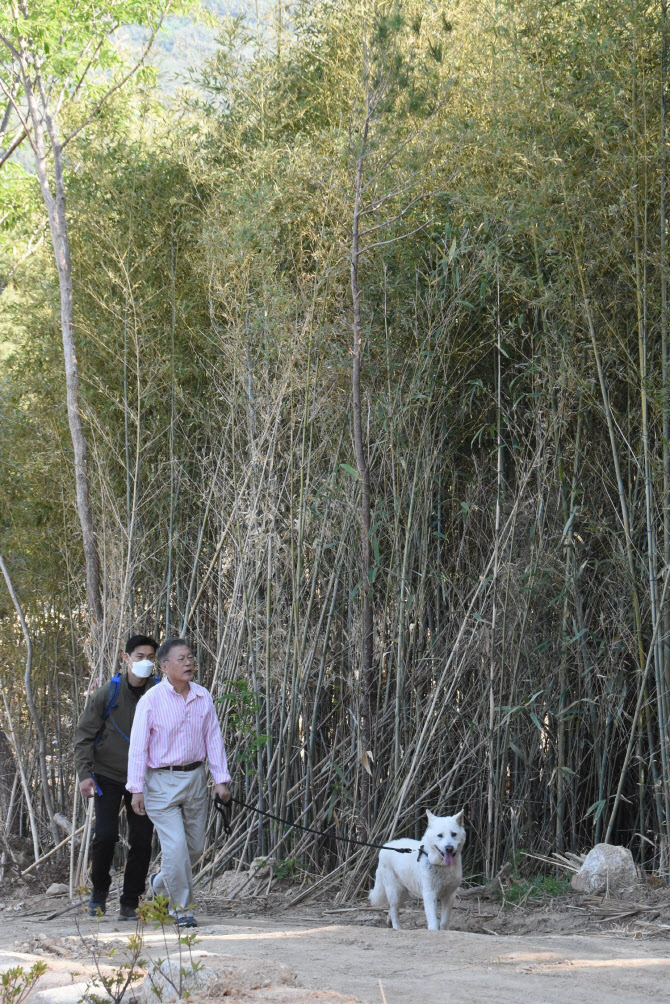 文在寅与保镖散步突遇意外：男子冲上前一顿骂 (http://www.lingxun.net.cn/) 国际 第3张