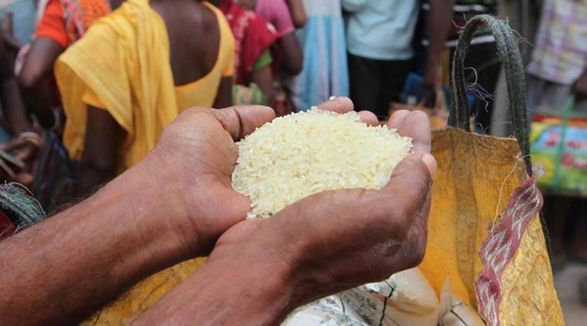 印度碎米图片
