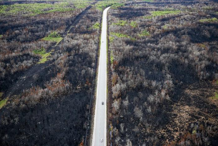 6月26日，加拿大新斯科舍省，谢尔本103高速公路两侧森林大火的残留物。