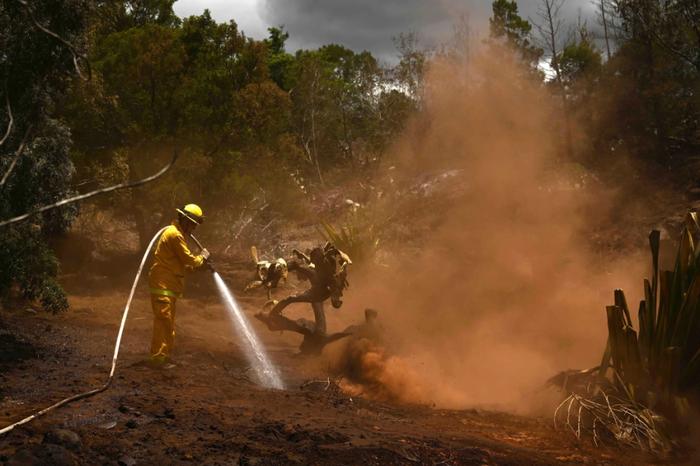 周日，毛伊县的一名消防员正在扑灭夏威夷库拉附近的一场火灾 图自NBC