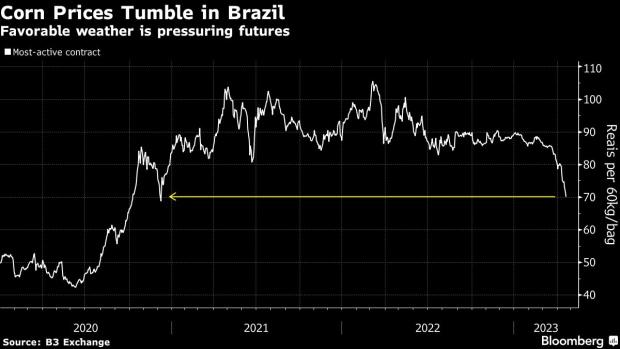 巴西玉米价格走势（图源：彭博社）