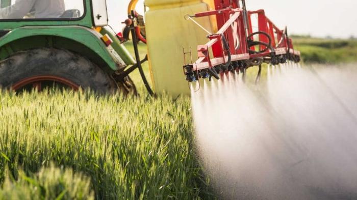 美媒：反对欧盟推进削减农药使用，欧洲议会“挤满农民”