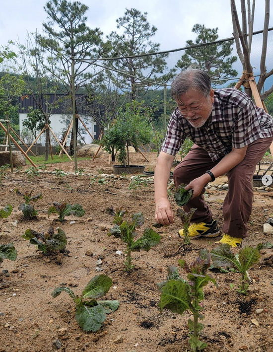 文在寅晒养老生活：下地采摘生菜 猫狗相伴胡子全白