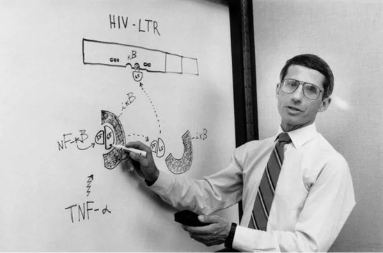  1990 年，作为美国国立卫生研究院艾滋病研究负责人的福奇在他的实验室