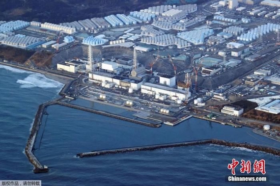 日媒：用福岛一核处理水养鱼，东电开展饲养试验