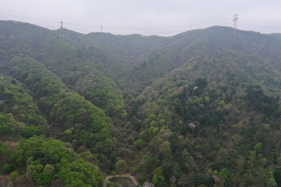 韩国走鱼寺一带俯瞰图（韩联社）