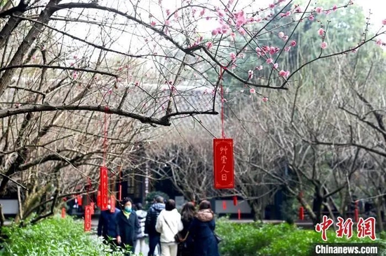  四川成都，春节期间游客参观杜甫草堂。安源 摄