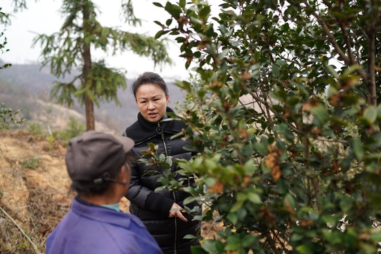 2月24日，明经华（右）在江西赣州市经开区湖边镇蛤湖村白石下油茶基地调研油茶产业。新华社记者 周密 摄