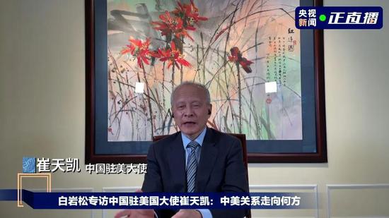 白岩松专访中国驻美国大使崔天凯