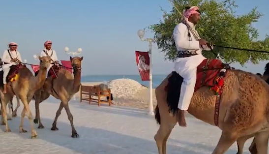 卡塔尔的骆驼安保巡逻队（英媒视频截图）