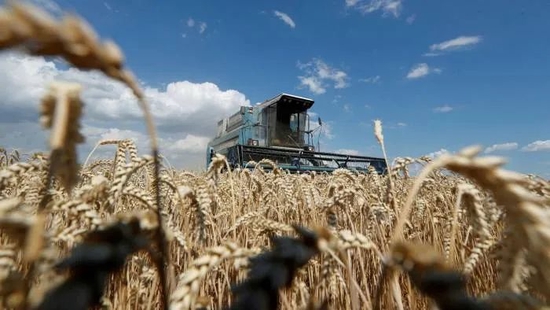 乌克兰遭遇小麦出口难。图源：FT