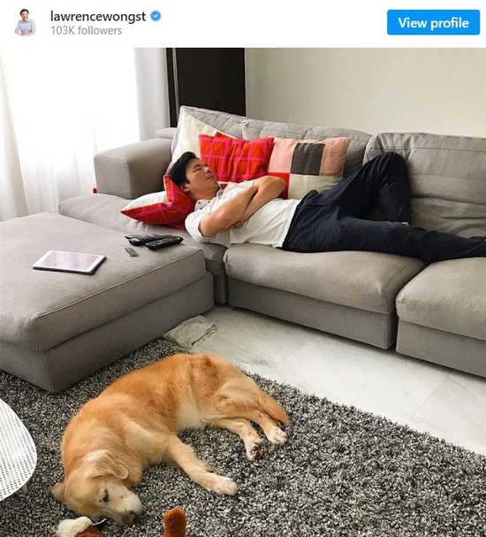 黄循财在社交平台上展示爱犬 图源：黄循财个人社交媒体账号