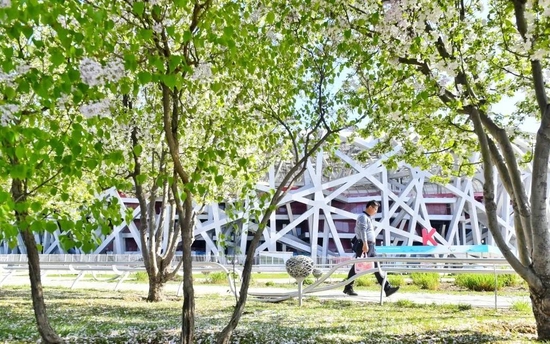 五一期间，国家体育场正常对游客开放。  图/北京奥林匹克公园