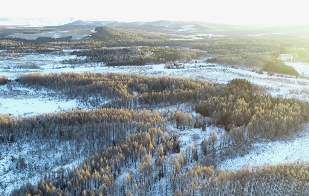 这是2022年３月１日拍摄的塞罕坝机械林场雪后的景色（无人机照片）。新华社记者杨世尧摄