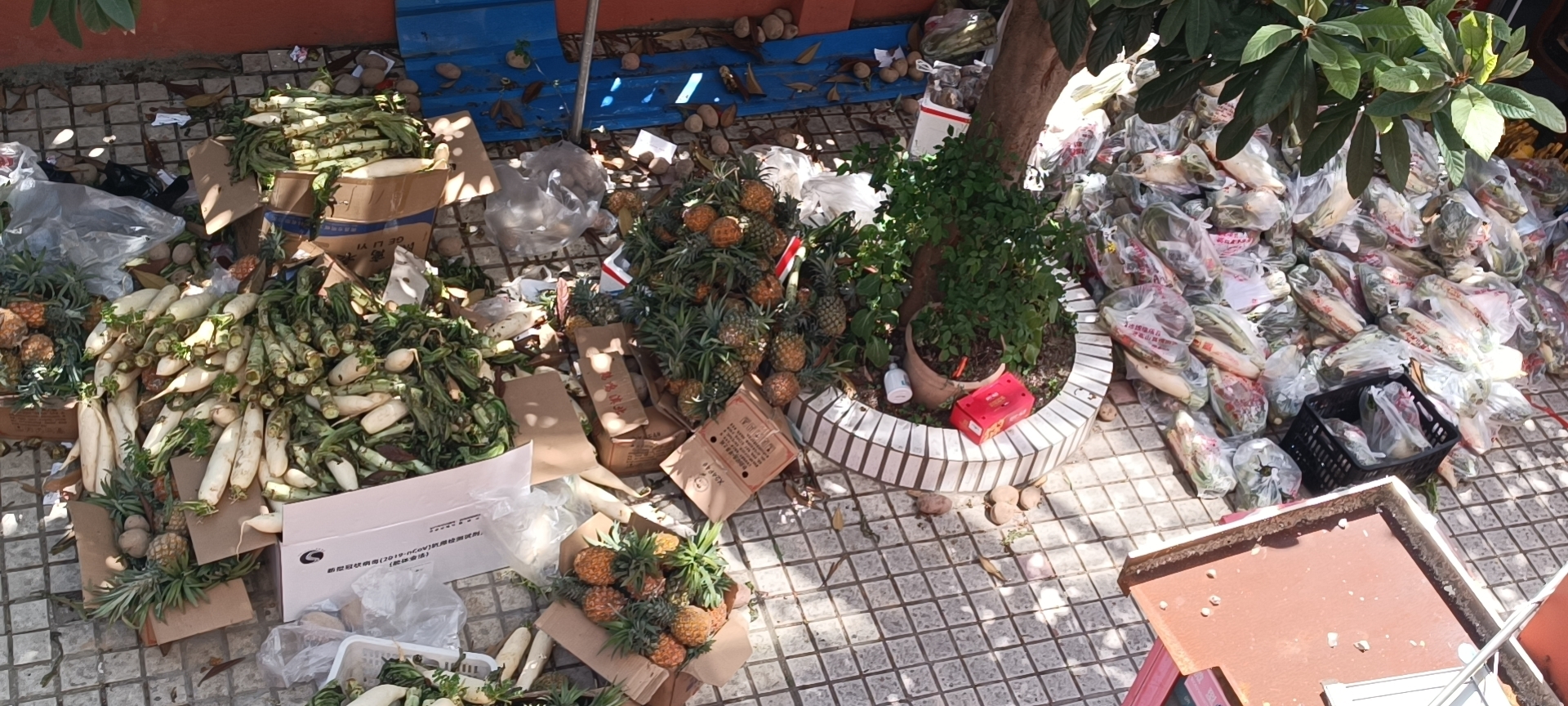 小区居民拍到的放烂了的菜和水果。