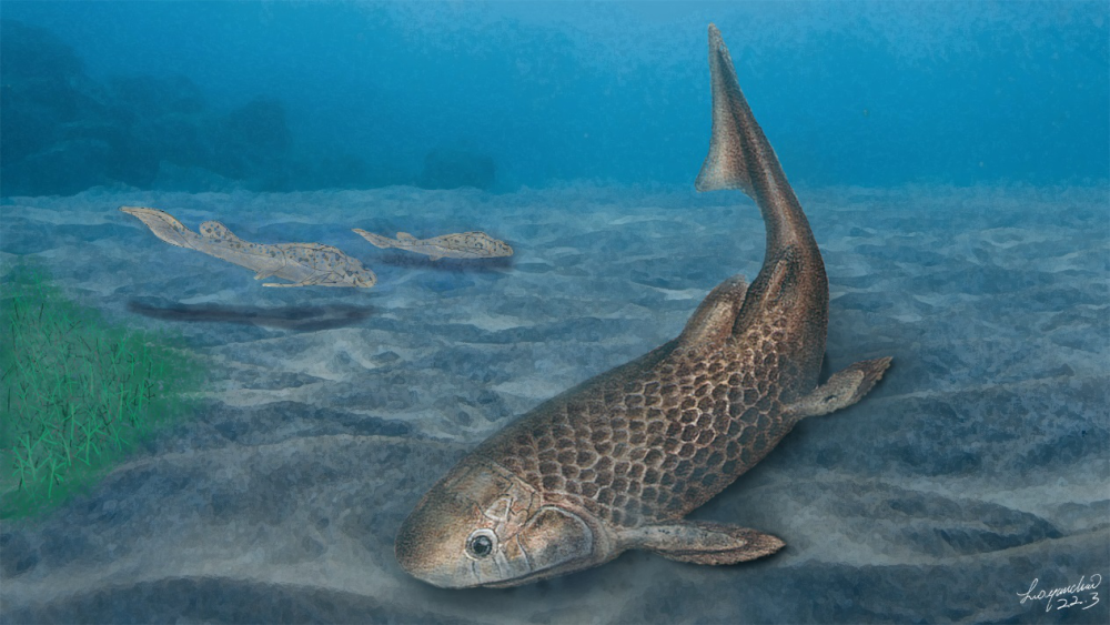 【COP15】这条3.9亿年前的鱼，“吃软不吃硬”！