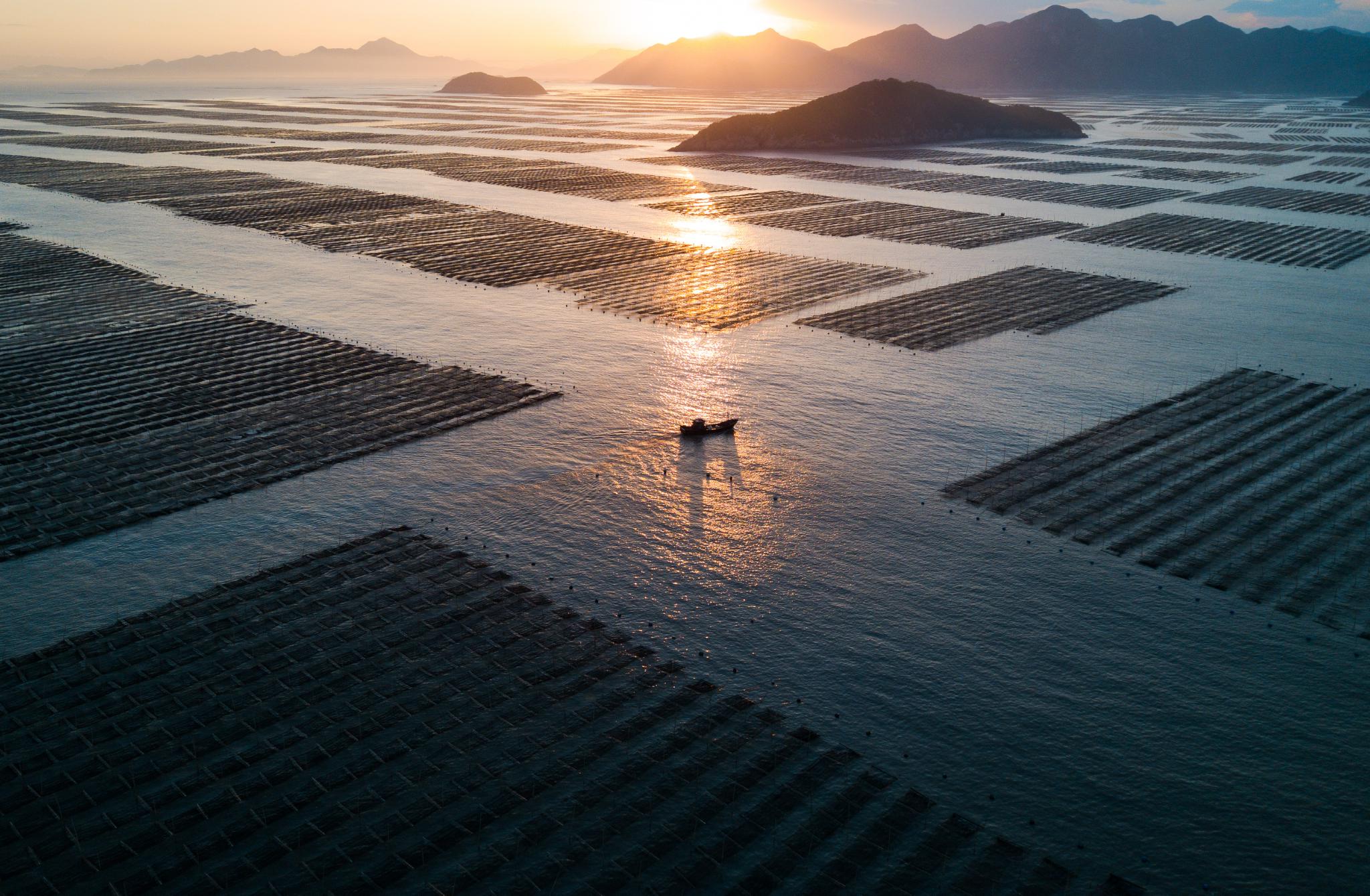 在福建省宁德市霞浦县三沙镇，渔船在夕阳余晖中归港（2020年11月26日摄，无人机照片）。新华社记者 宋为伟 摄