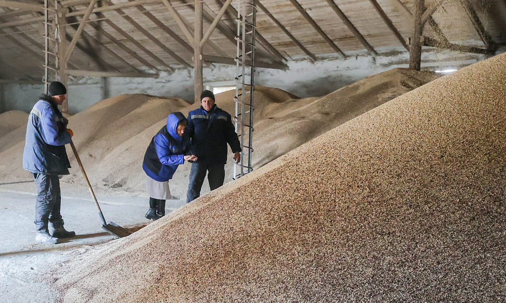 当地时间2022年3月15日，克里米亚，工作人员在粮仓倾倒谷物。 乌克兰冲突冲击全球谷物市场，导致粮价攀升、食品价格上涨。