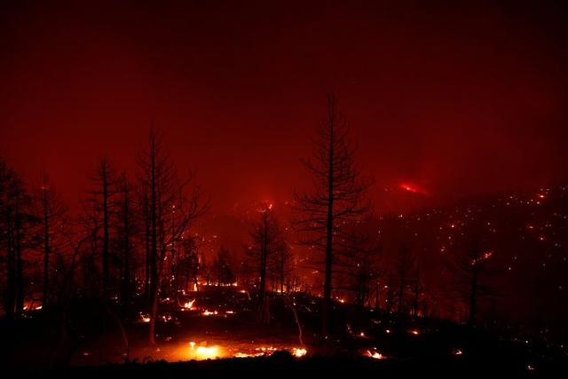 美加州山火蔓延超3800公顷，或致全州轮流停电