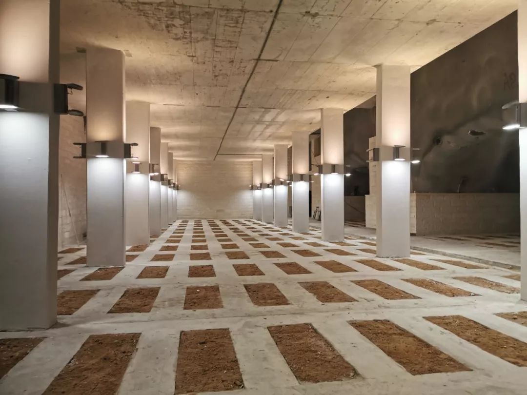 深挖50米WiFi全覆盖 以色列这座墓地成&amp;quot;地下